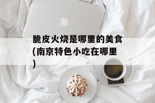 脆皮火烧是哪里的美食(南京特色小吃在哪里)-第1张图片-