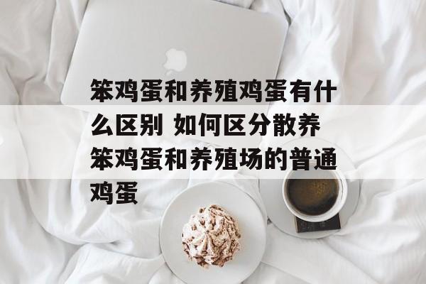 笨鸡蛋和养殖鸡蛋有什么区别 如何区分散养笨鸡蛋和养殖场的普通鸡蛋-第1张图片-