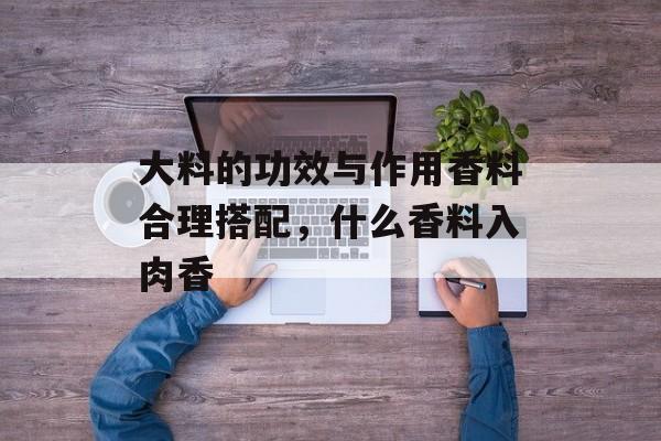大料的功效与作用香料合理搭配，什么香料入肉香-第1张图片-