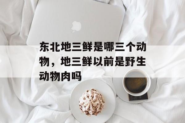 东北地三鲜是哪三个动物，地三鲜以前是野生动物肉吗-第1张图片-