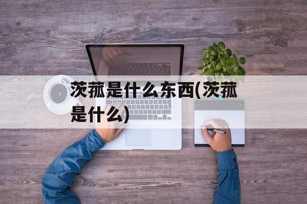 茨菰是什么东西(茨菰是什么)-第1张图片-