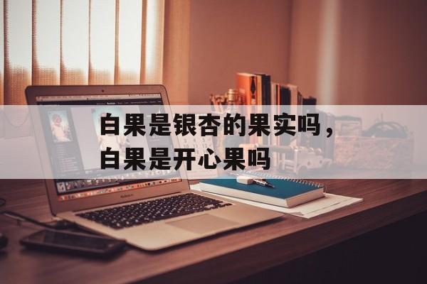 白果是银杏的果实吗，白果是开心果吗-第1张图片-