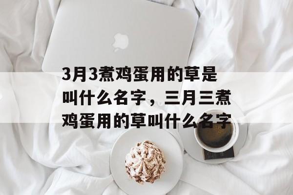 3月3煮鸡蛋用的草是叫什么名字，三月三煮鸡蛋用的草叫什么名字-第1张图片-