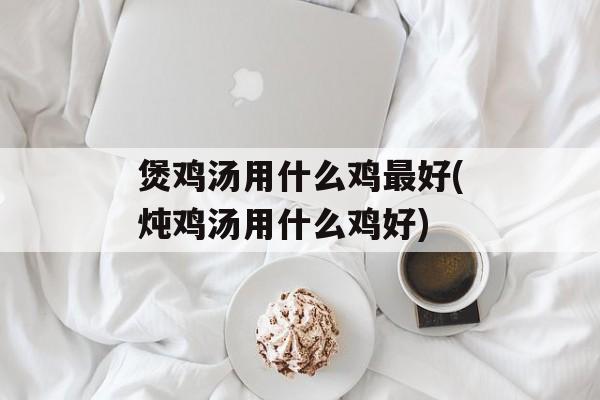 煲鸡汤用什么鸡最好(炖鸡汤用什么鸡好)-第1张图片-