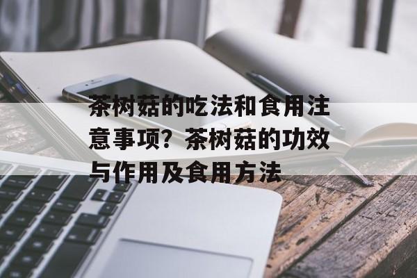 茶树菇的吃法和食用注意事项？茶树菇的功效与作用及食用方法-第1张图片-