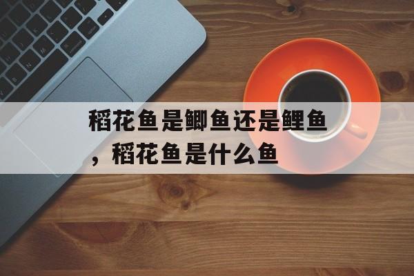 稻花鱼是鲫鱼还是鲤鱼，稻花鱼是什么鱼-第1张图片-