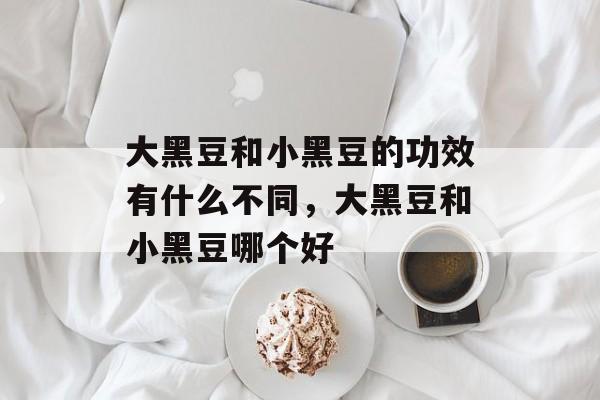 大黑豆和小黑豆的功效有什么不同，大黑豆和小黑豆哪个好-第1张图片-