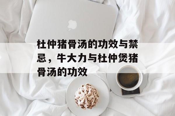 杜仲猪骨汤的功效与禁忌，牛大力与杜仲煲猪骨汤的功效-第1张图片-