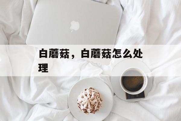 白蘑菇，白蘑菇怎么处理-第1张图片-