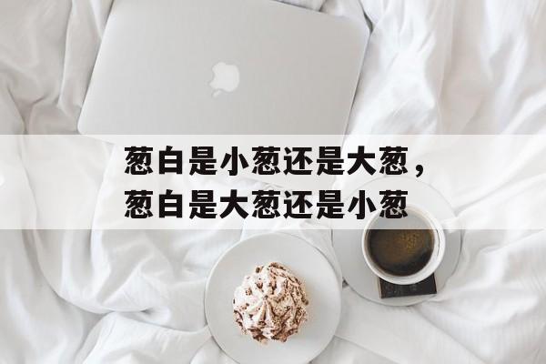 葱白是小葱还是大葱，葱白是大葱还是小葱-第1张图片-