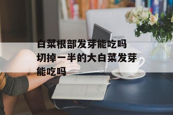 白菜根部发芽能吃吗 切掉一半的大白菜发芽能吃吗-第1张图片-