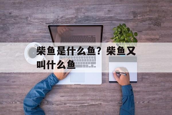 柴鱼是什么鱼？柴鱼又叫什么鱼-第1张图片-