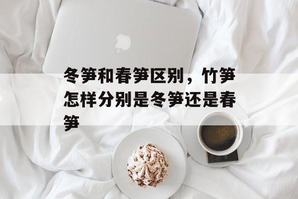 冬笋和春笋区别，竹笋怎样分别是冬笋还是春笋-第1张图片-