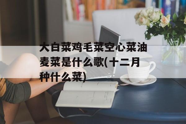大白菜鸡毛菜空心菜油麦菜是什么歌(十二月种什么菜)-第1张图片-