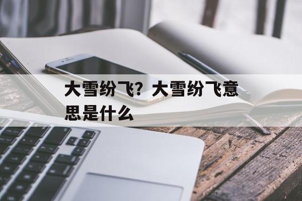 大雪纷飞？大雪纷飞意思是什么-第1张图片-