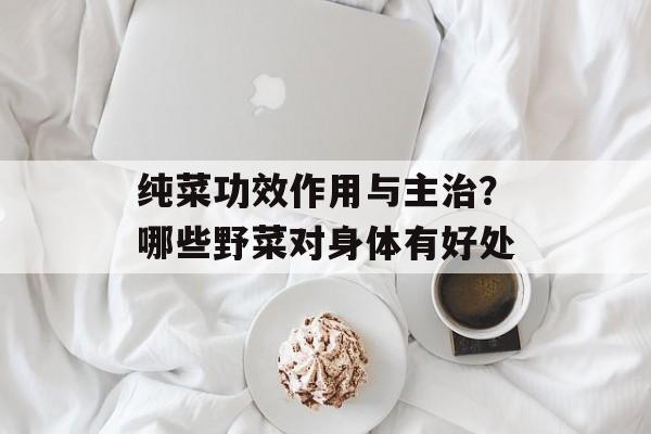纯菜功效作用与主治？哪些野菜对身体有好处-第1张图片-