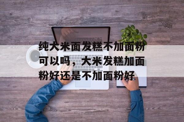纯大米面发糕不加面粉可以吗，大米发糕加面粉好还是不加面粉好-第1张图片-