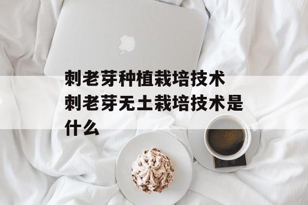 刺老芽种植栽培技术 刺老芽无土栽培技术是什么-第1张图片-
