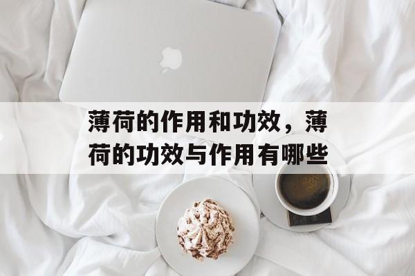 薄荷的作用和功效，薄荷的功效与作用有哪些-第1张图片-