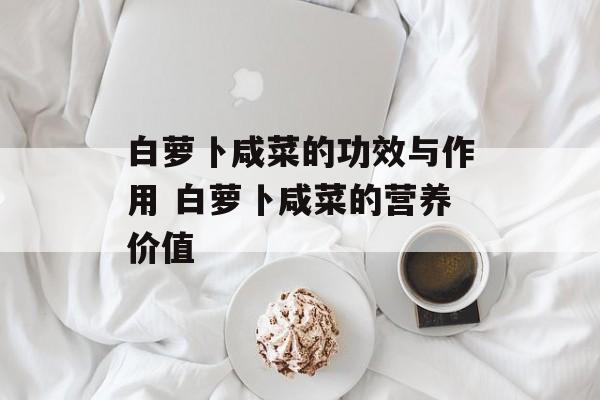 白萝卜咸菜的功效与作用 白萝卜咸菜的营养价值-第1张图片-