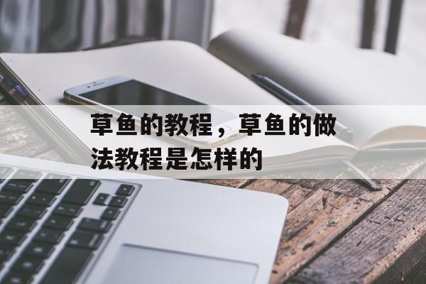 草鱼的教程，草鱼的做法教程是怎样的-第1张图片-