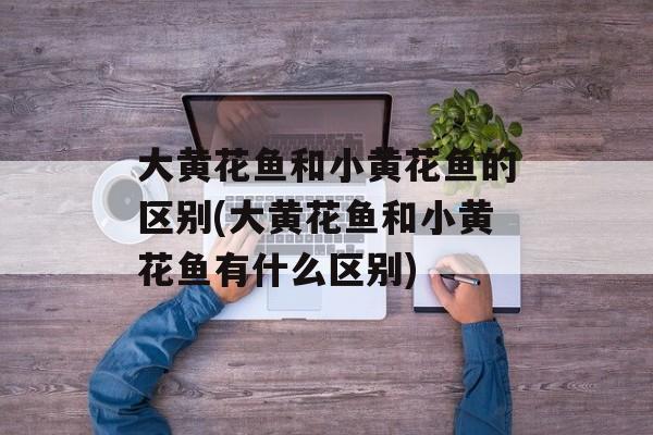 大黄花鱼和小黄花鱼的区别(大黄花鱼和小黄花鱼有什么区别)-第1张图片-