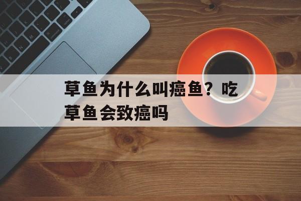 草鱼为什么叫癌鱼？吃草鱼会致癌吗-第1张图片-